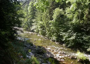 Wutachschlucht (Landkreis Breisgau-Hochschwarzwald)