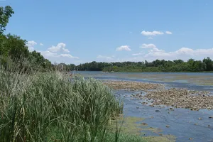 Reserva Natural de Los Galachos de La Alfranca de Pastriz, La Cartuja y El Burgo de Ebro