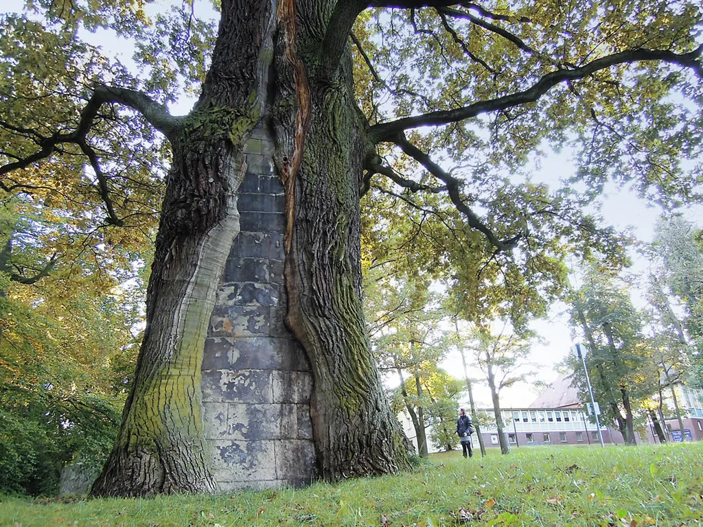 Platnersberg (Nürnberg)