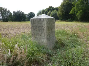 Schwedenstein; Denkmal (300 Meter westlich vom nördlichen Ortsausgang von Nechern, am Rande einer Wiese)