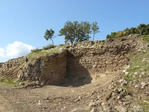 Aphidna