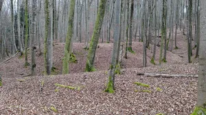 Burgstelle Tiefenbach