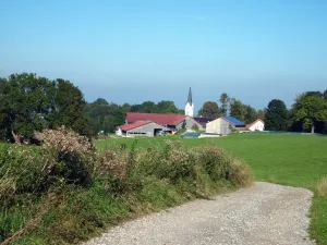 Kleinkemnat