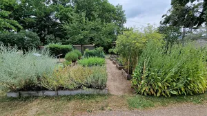 New monastery garden at Memleben
