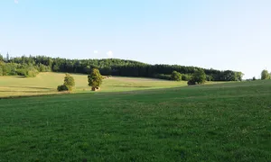 Burgsteinlandschaft