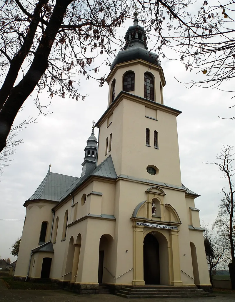 Kościół Najświętszego Serca Pana Jezusa w Błoniu koło Łowicza.