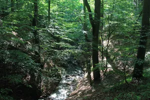 Ruppiner Schweiz