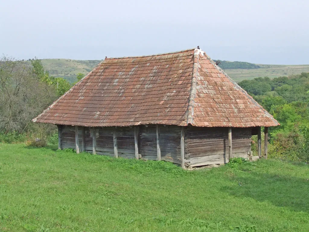 Chinciuș