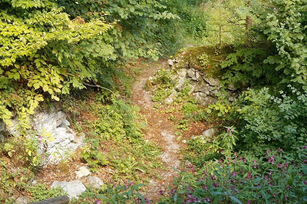 Mauerreste im Burgstall Eschenlohe