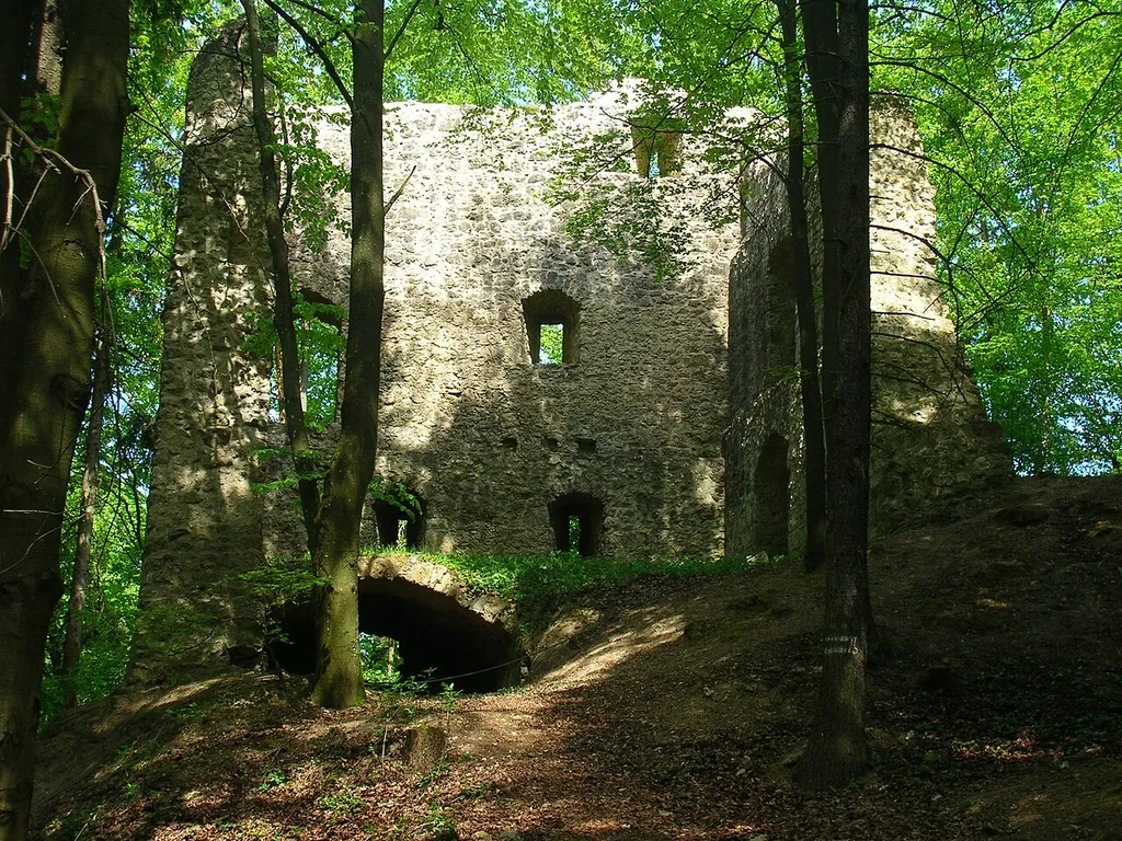 Burgruine Roßstein