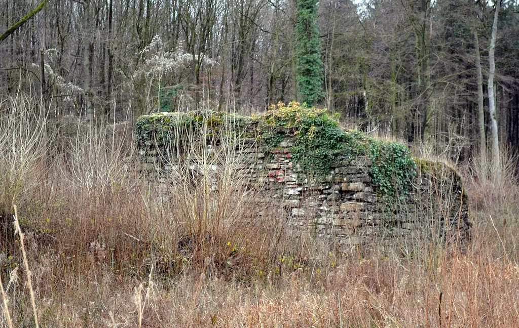 Ostenfelde, Ruine Nienburg