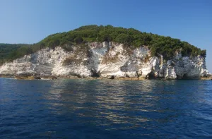 Antipaxos