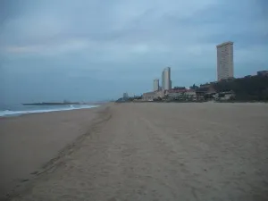 Amanzimtoti