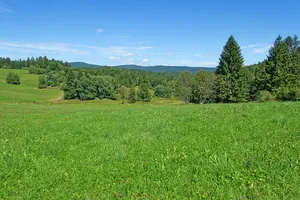 Black Forest Biosphere Reserve