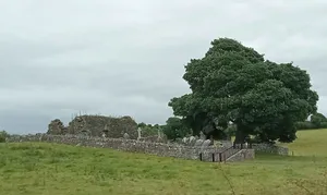 Kilkeasy Church ruin