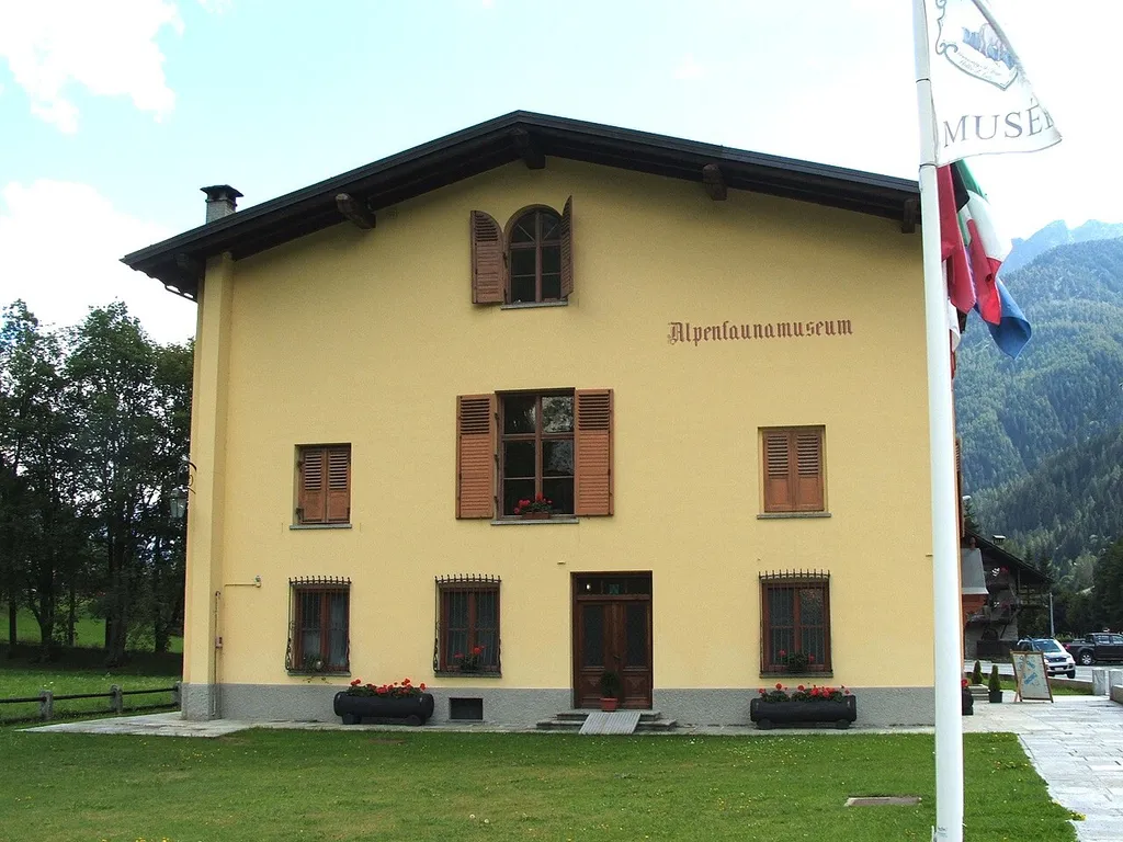 Immagine da Gressoney-Saint-Jean, Val d'Aosta - Museo Regionale della Fauna Alpina - Alpenfaunamuseum "Beck-Peccoz" Camera location45° 46′ 35.57″ N, 7° 49′ 36.84″ E View this and other nearby images on: OpenStreetMap 45.776548; 7.826900