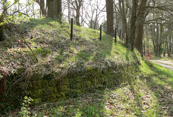 Circular rampart of Burg