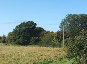 Church Meadow