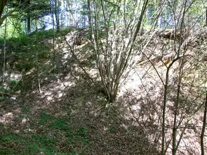 Hausberg Engelsburg