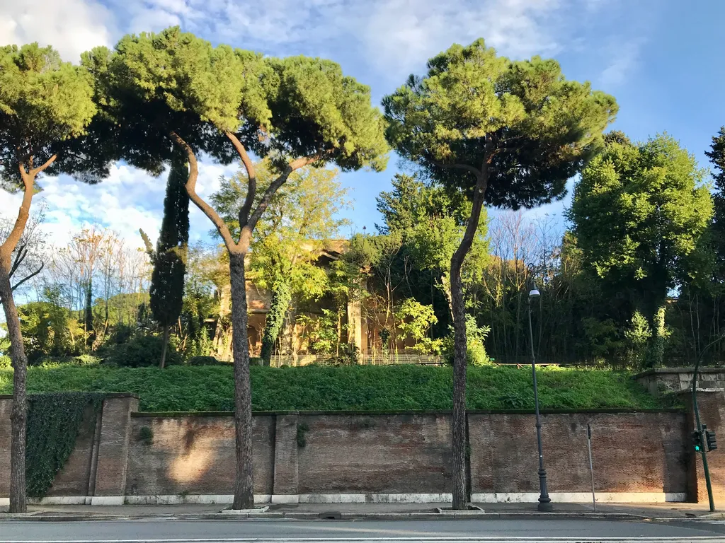 Municipal Antiquarium