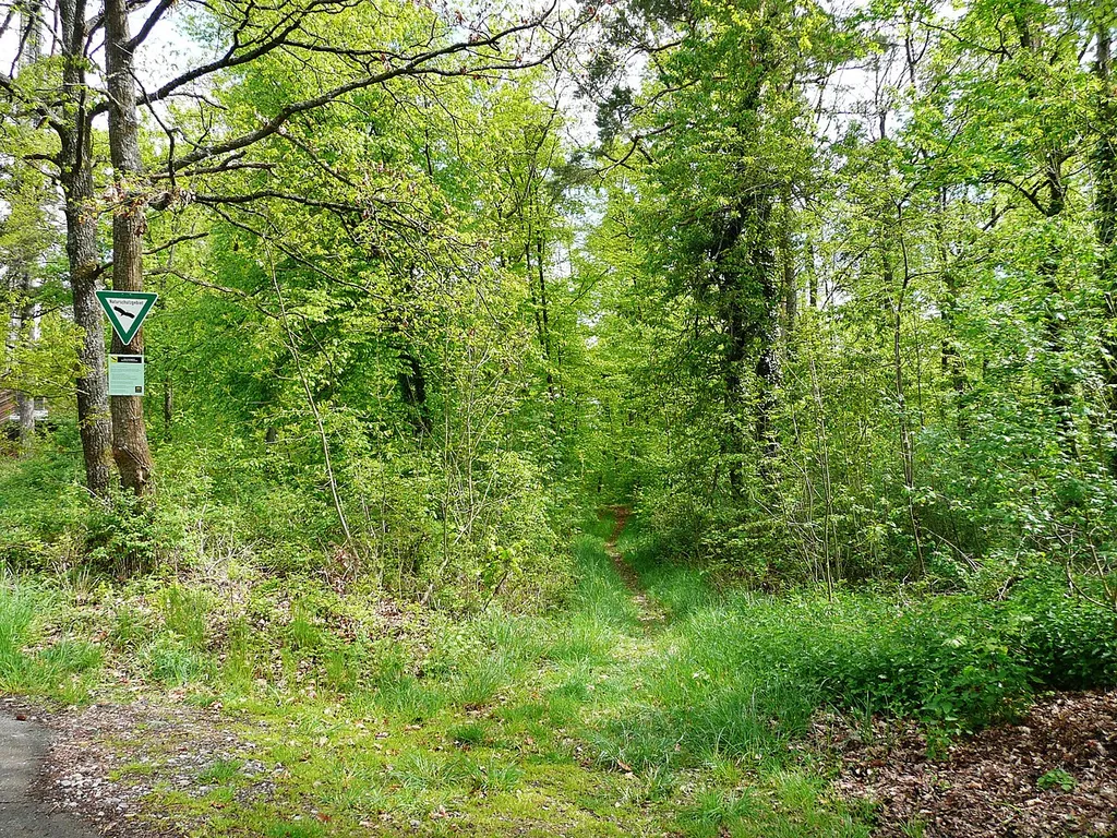 Schwarzwald-Schwäbische-Alb-Allgäu-Weg (HW5)