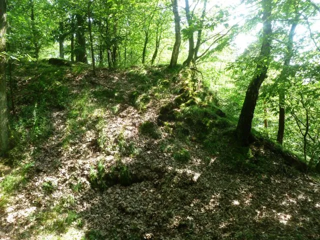 Burgstall_Wolfsbach-4