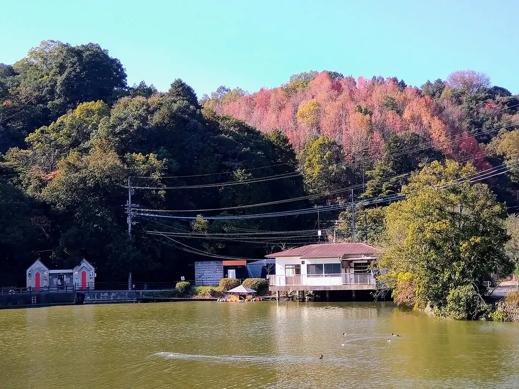 滝の宮公園の秋