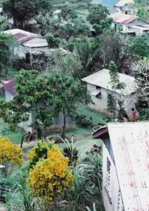 Ovalau