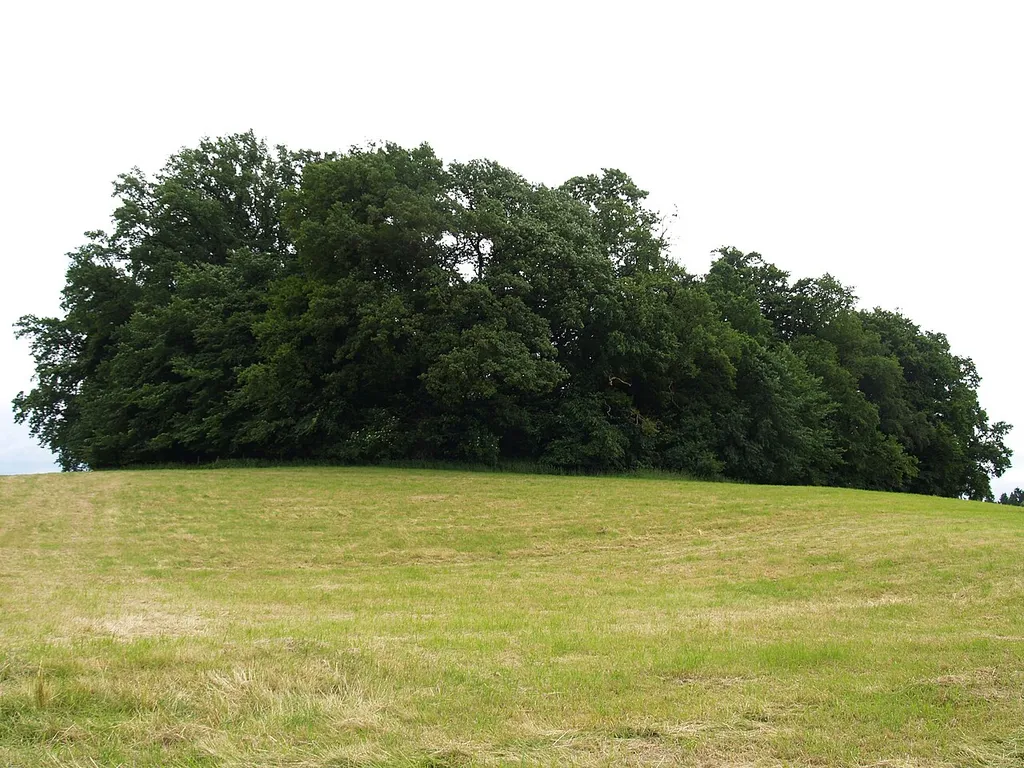 der von Bäumen umringte Oldenburger Wall