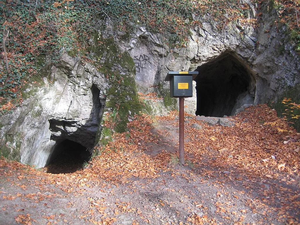 Volkmarskeller