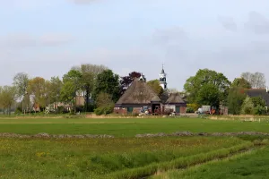 Moarra
