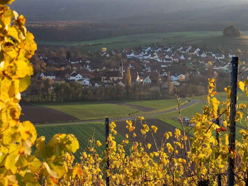View of Michelau in the Steigerwald