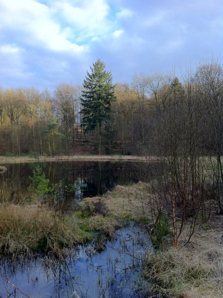 Grundloser Kolk