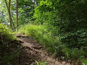 Kyšperk
