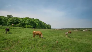 Park in Lukino, Nizhny Novgorod Oblast