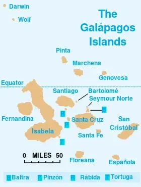 Pinzón Island