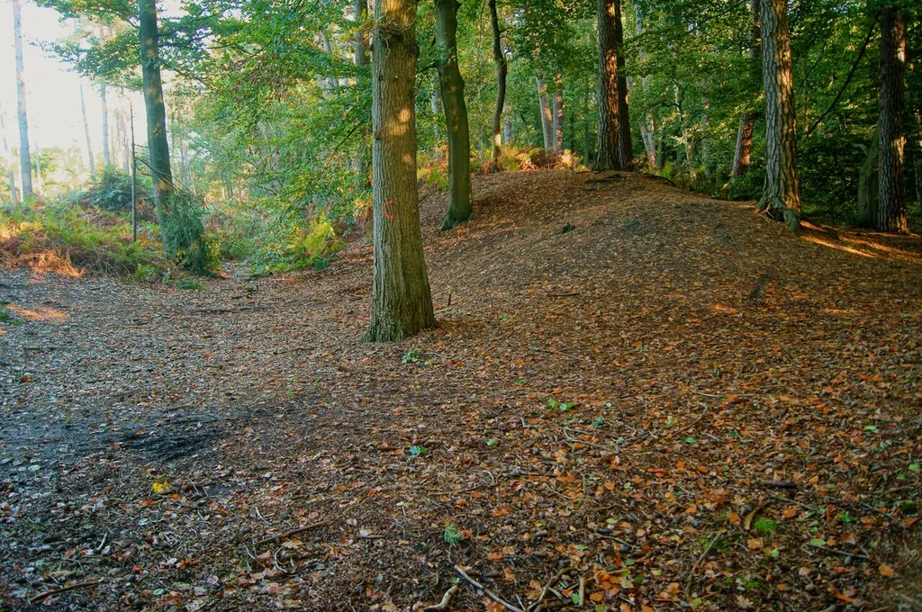 Hünenburg is a medieval fort near Stadtlohn, North Rhine-Westphalia, Germany.