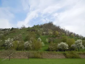 Spitzberg - Ödenburg