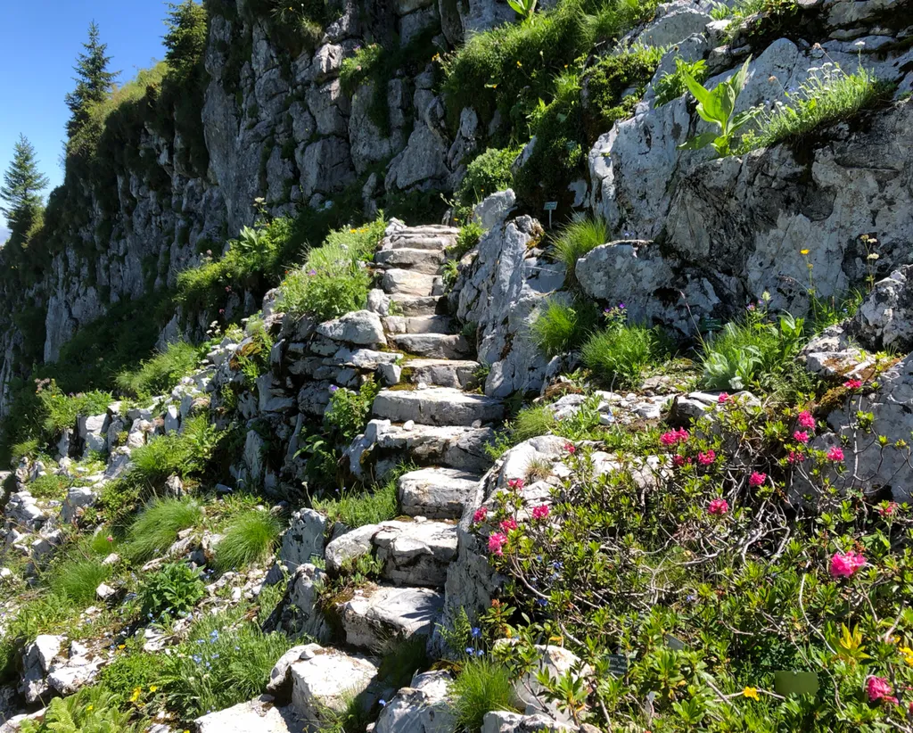 Jardin alpin La Rambertia