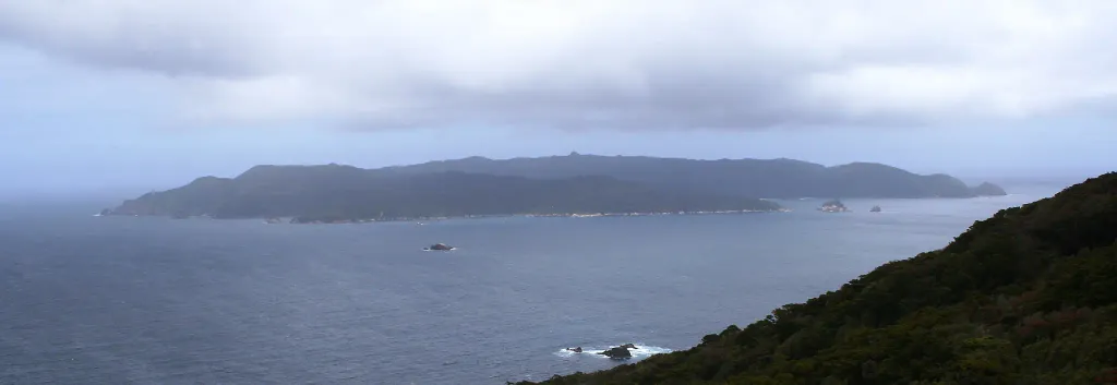 Codfish Island / Whenua Hou