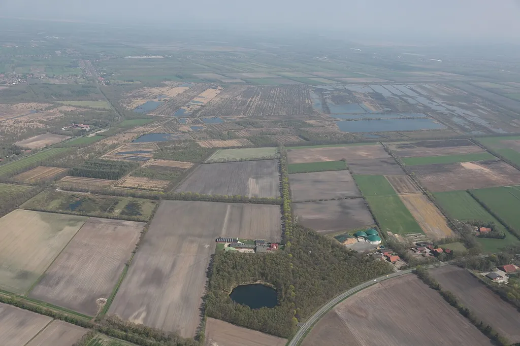 Aschendorfer Obermoor / Wildes Moor