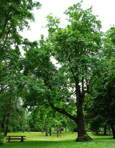 Sarah Helmick State Recreation Site