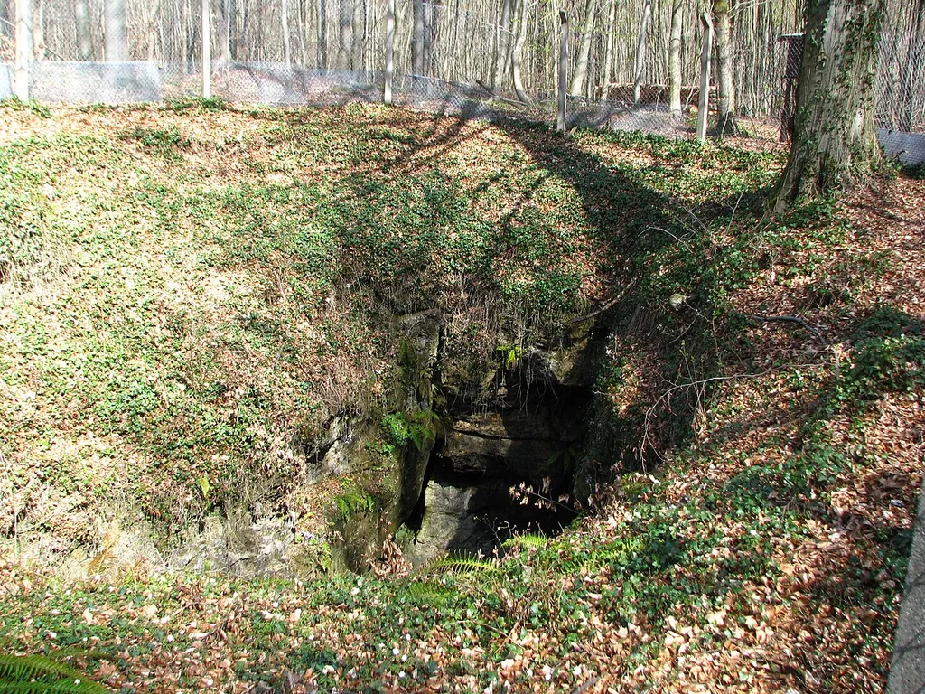 Natureingang der Einhornhöhle bei Scharzfeld.