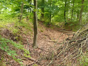 Spiegelburg