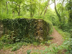Neuburg Castle Ruins (fortified castle near Wörth)