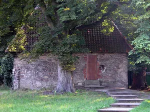 Klostergarten (Braunschweig)