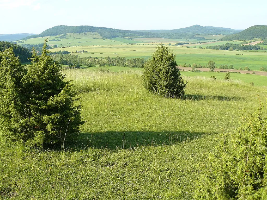 Wiesenthaler Schweiz