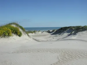 Padre Island
