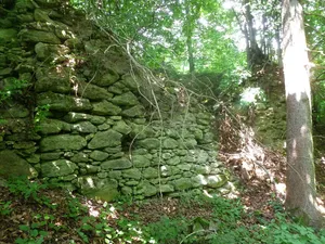 Burgruine Steinerberg