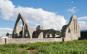 Castledermot Friary